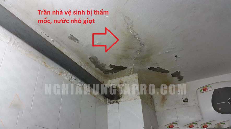 chống thấm nhà vệ sinh đà nẵng