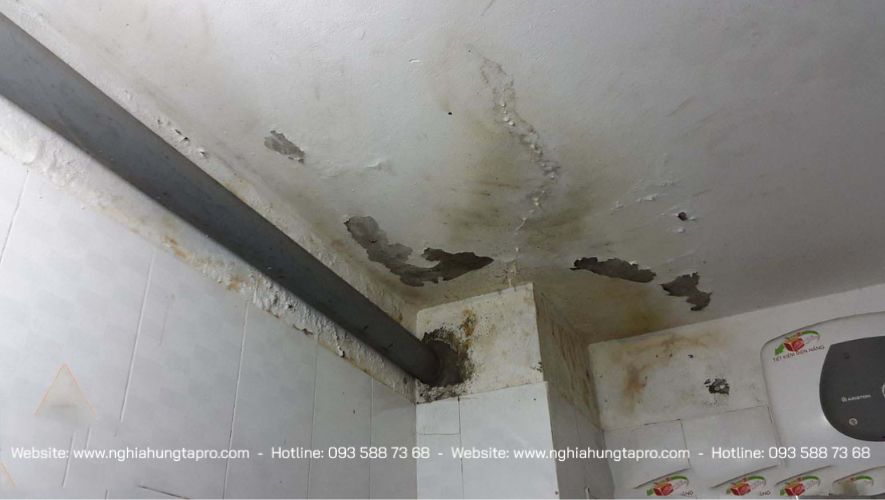 Dịch vụ cải taooj nhà vệ sinh cũ