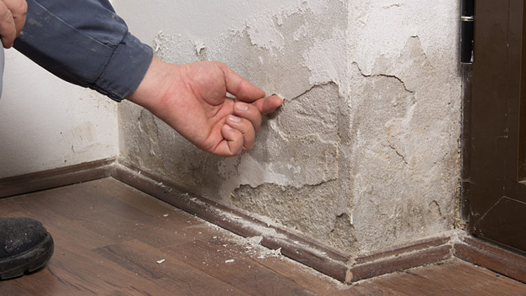 Cách xử lý tường bị phồng rộp, bong tróc